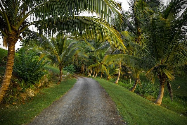 The Impact of Reggae Music on Jamaican Tourism